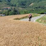 A person riding a bike on top of a field.