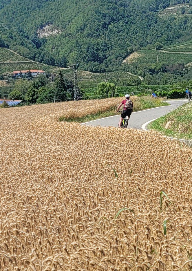 A person riding a bike on top of a field.